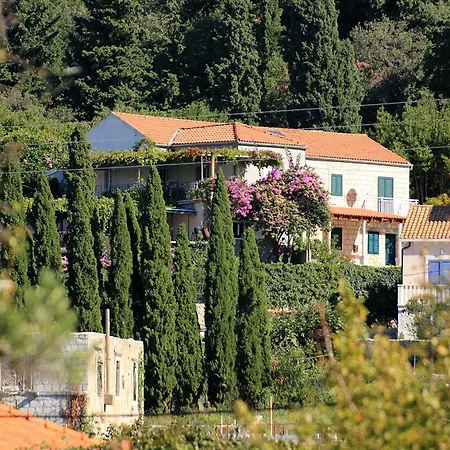 Apartamento With Parking Space Slano, Dubrovnik - 8540 *