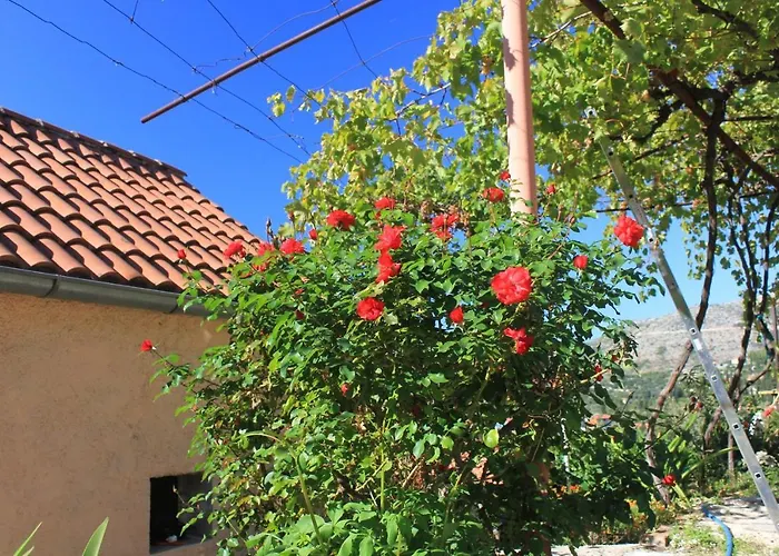 Apartamento With Parking Space Slano, Dubrovnik - 8540 Slano