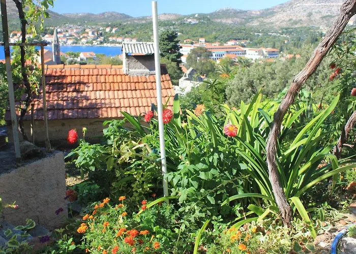 With Parking Space Slano, Dubrovnik - 8540 Apartamento