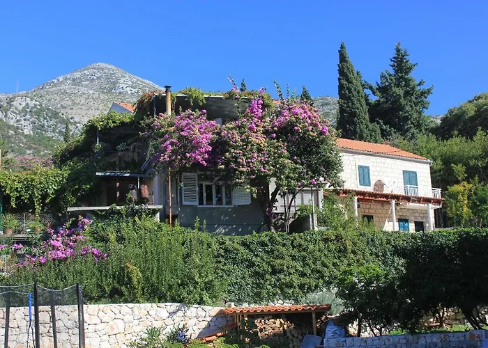 With Parking Space Slano, Dubrovnik - 8540 Apartamento *