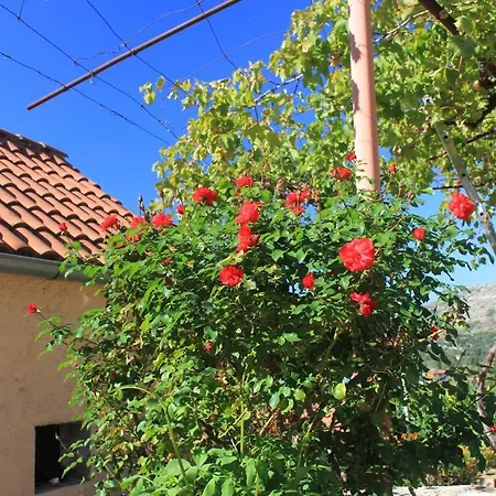 Apartman Apartments With Parking Space Slano, Dubrovnik - 8540 Slano