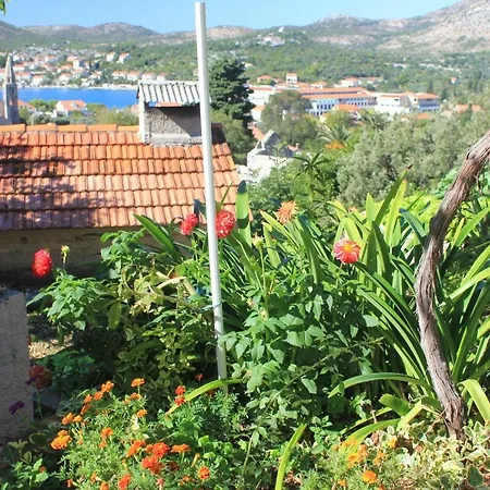 Apartments With A Parking Space Slano, Dubrovnik - 8540 Apartment