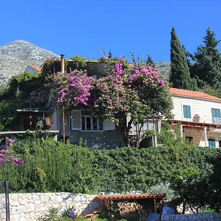Apartments With Parking Space Slano, Dubrovnik - 8540 Apartman *