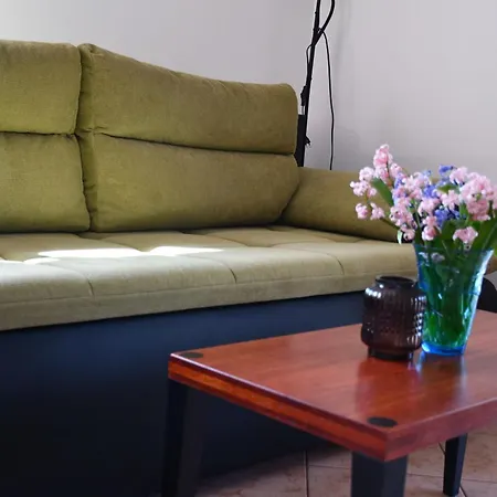 Apartment Apartments With Parking Space Slano, Dubrovnik - 8540
